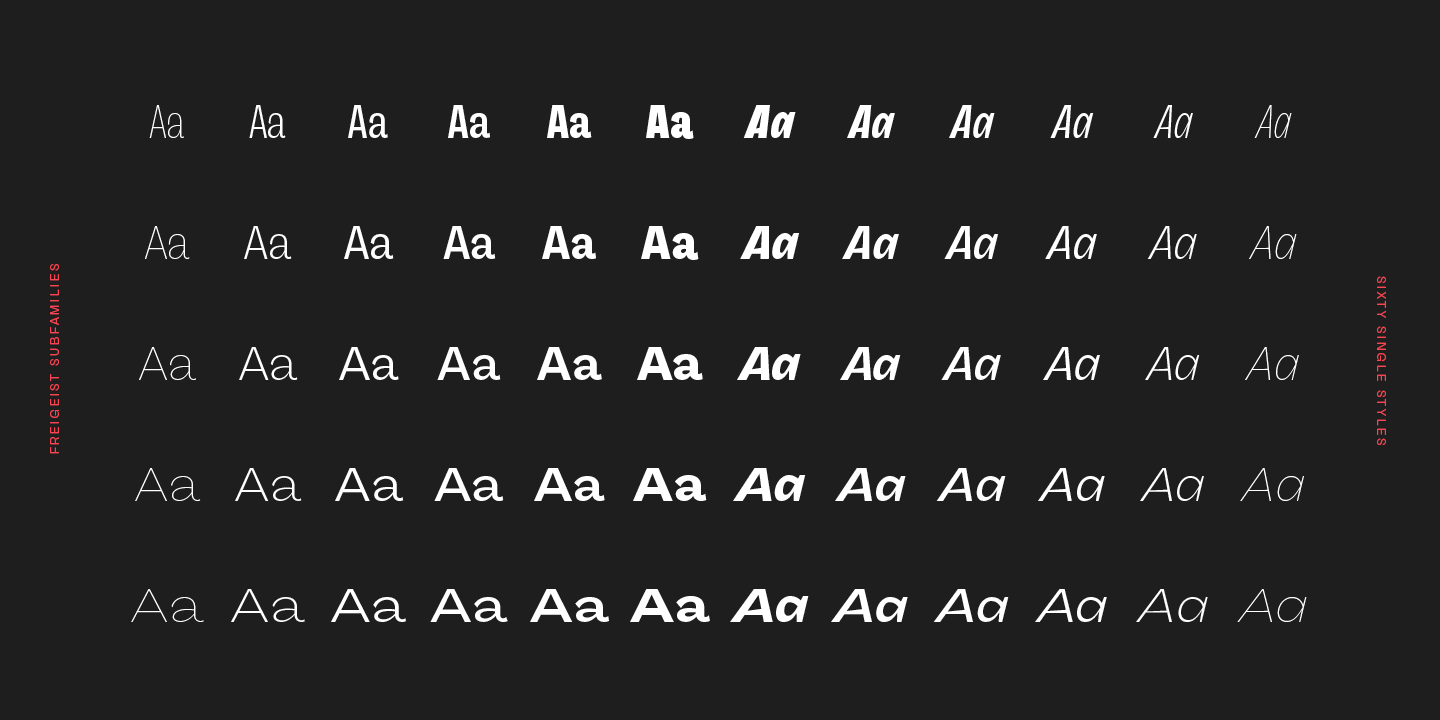 Przykład czcionki Freigeist XCon Medium Italic